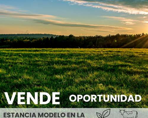 Se Vende Estancia Modelo Excelente Ubicación.