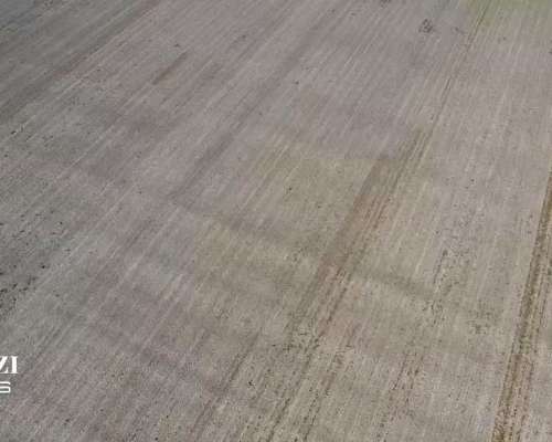 25 Has Agricolas en Humboldt. Suelo Clase 1 - IP 79%.