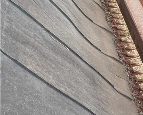 Corta Hileradora Sode 1990