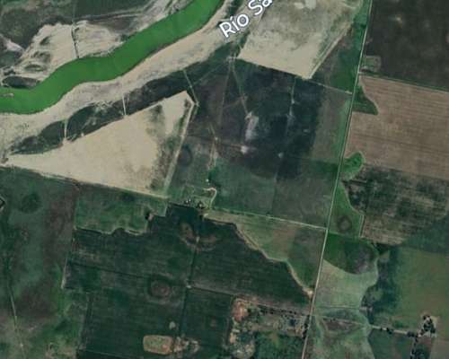 Alquiler Campo Ganadero en Bragado