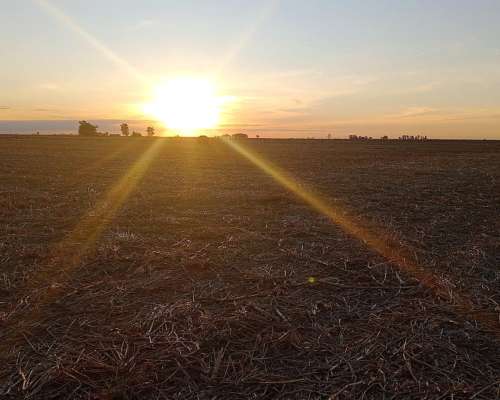 Campo Agrícola en Venado Tuerto