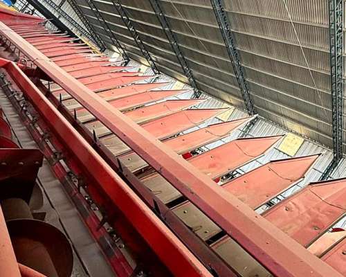 Girasolero Vassalli 12 Surcos a 70