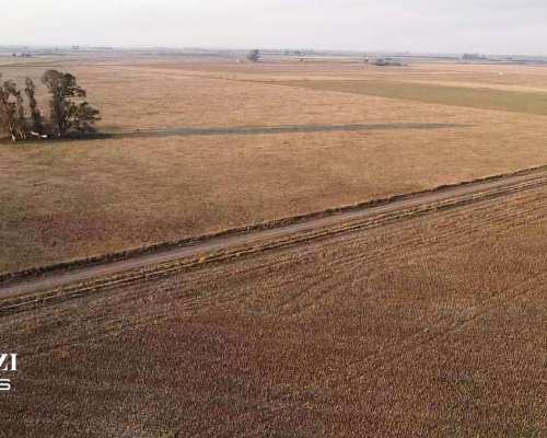 40 Has en San Genaro Sobre Ruta