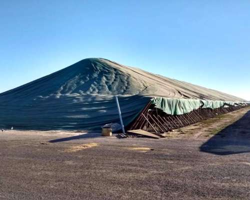 Celda de Silos Australianos a Medida Kaizen Lonas