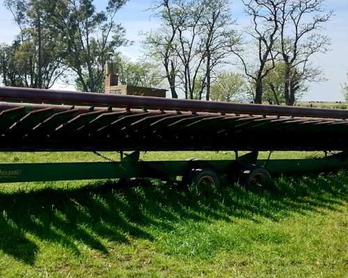 Girasolero Piersanti de 19 a 52