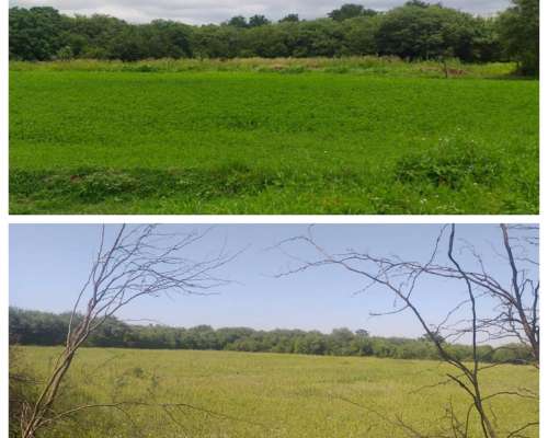 Vendo Campito en Nueva Francia SGO del Estero