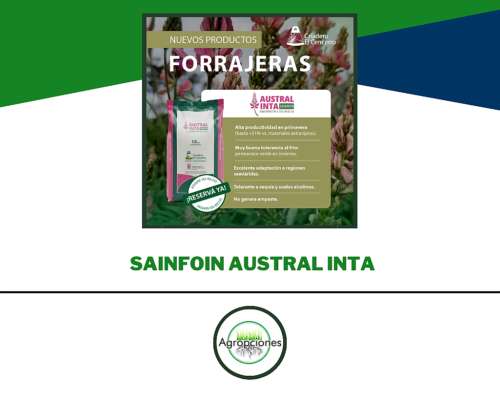 Semilla de Sainfoin Austral Inta