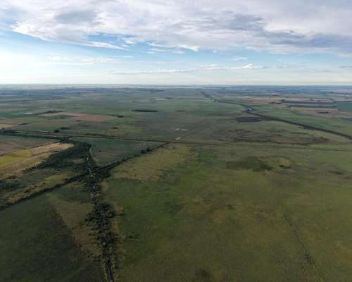 425 HA. Campo de Cría. Depto, San Jeronimo (santa Fe).