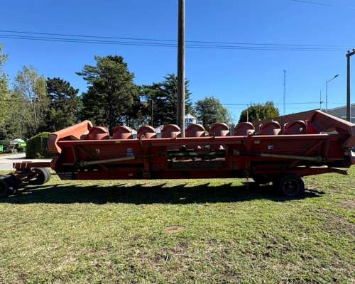 Maicero de Grande de 10 a 70 cm