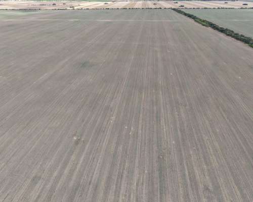Venta 75 Has Zona Rio IV