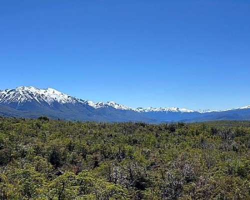 Campo de 92ha - Trevelin Chubut