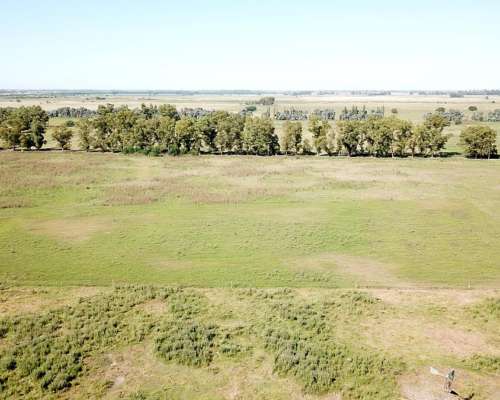 44 Has. Campo Agrícolo Ganadero en General Rodriguez