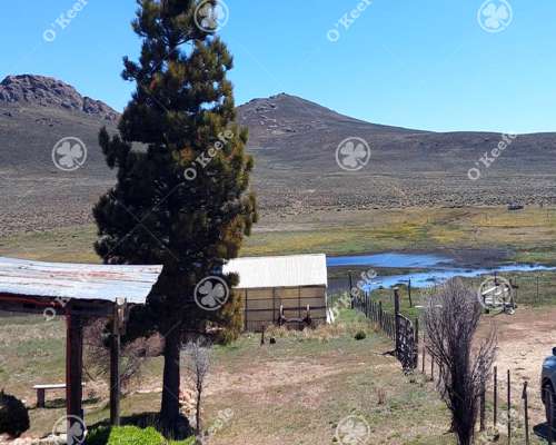 Campo en Venta de 4394 Has Comallo, Rio Negro