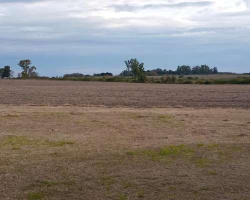 112 Ha Don Cristobal. 80 Ha Agrícolas