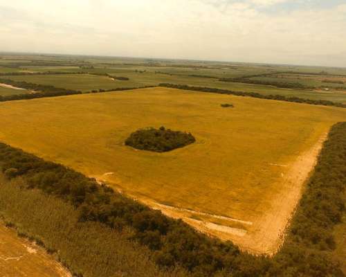 Campo en Venta en Rio Segundo, Córdoba