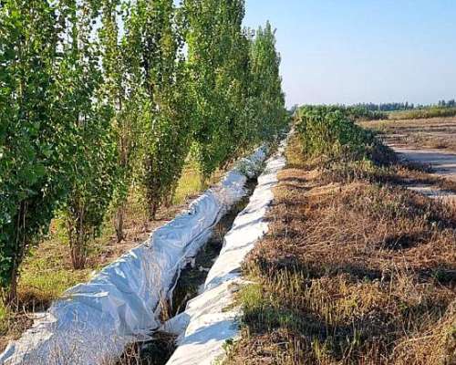 Campo en Valle de Jujuy