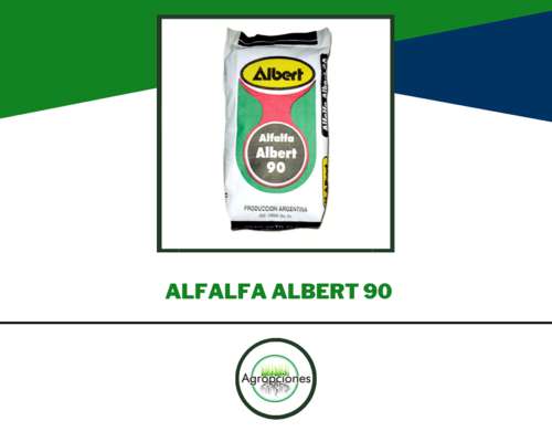 Semilla de Alfalfa Albert 90 - Criadero Albert Semillas