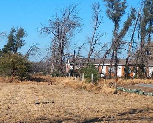 Campo con Fabrica de Aceite de Oliva en Catamarca