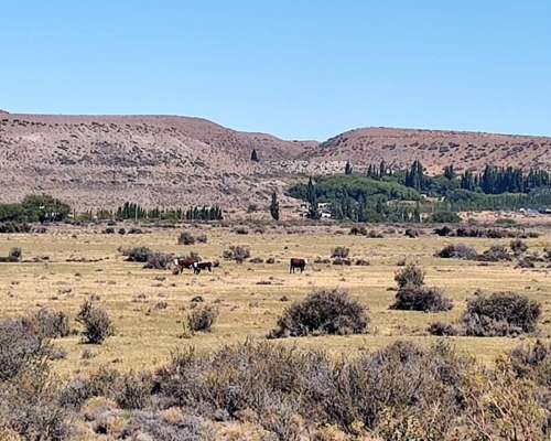 Estancia en Rio Mayo. 7345 HA. Chubut