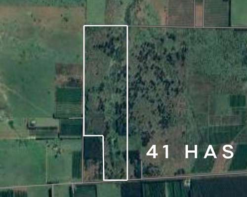 41 Ha Chacra Agricola Ganadera Mocoretá Corrientes