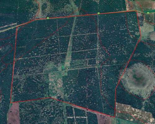 811,5 Hectáreas – Zona la Gallareta