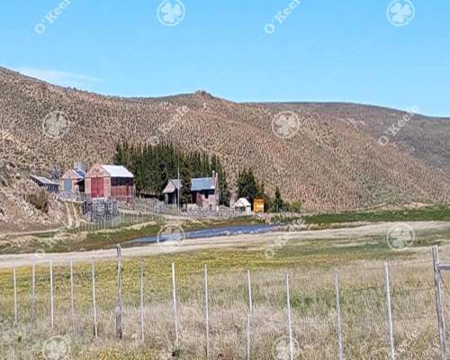 Campo en Venta 4394 Has en las Bayas, Bariloche. Ganadero.