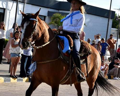 Yegua Criolla. Inscripta en Sociedad Rural Argentina