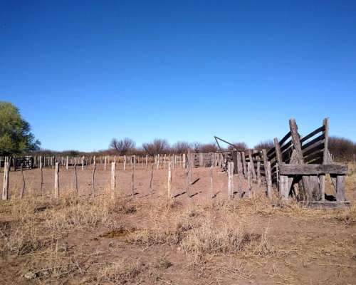 Campo Ganadero 820 Hectareas. Ubicado en Navia, San Luis