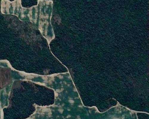 Vendo Campo Agrícola en las Breñas