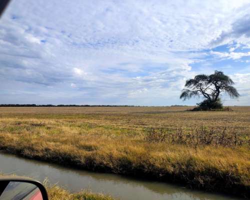 Vendo Campo Mixto Sobre Ruta