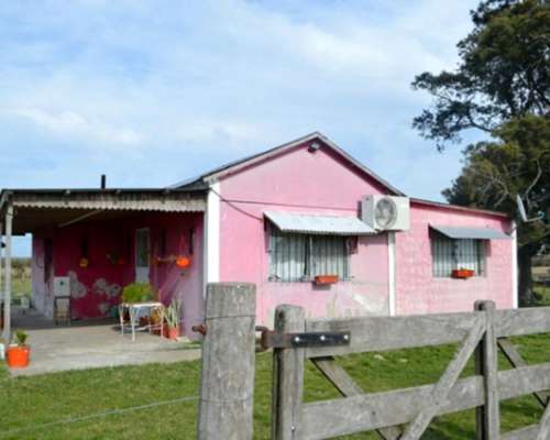 100 HA. en Dto. Uruguay