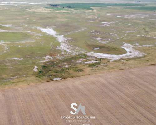 Vende: Campo de 298 Hectáreas. Ubicadas a 3 km al Suroeste D