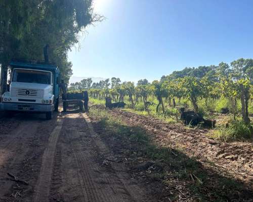 Finca Productiva en Venta – 112 Ha con Riego