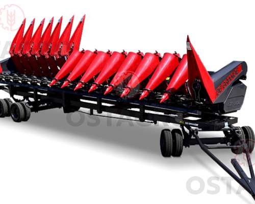 Maicero de Grande ED-2020