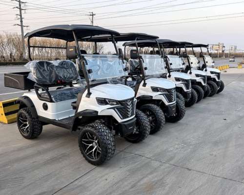 Golf Cart Electric Kepler 2/4/6 Asientos + Cajon