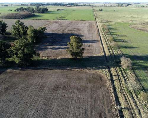 26ha en las Chacras