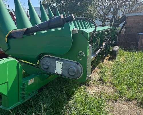 Maicero Ombu cm 2020 de 16/52