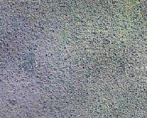 Pozo Hondo Campo 2557 Hect