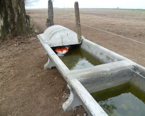 Piletas - Bebederos - Aguadas - Ganaderia