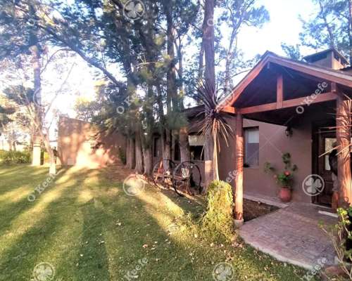 Campo Mixto Brandsen 650 Has