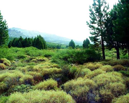 Fields y Land Opportunities Across Argentina