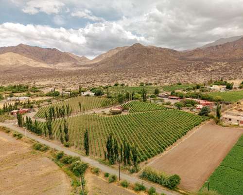 Pcia. de Salta - Bodega Miraluna - Cachi 16 Has