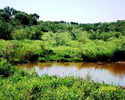 Excelente Campo Ganadero a 8 KMS del Centro de San Luis