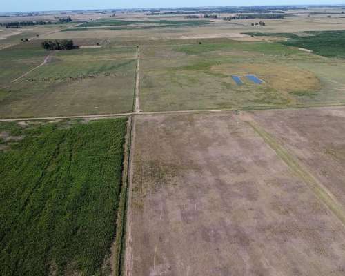 Fondo de Comercio: Tambo en Producción (monte, BS. As.)