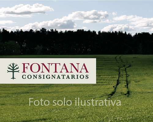 Campo Mixto Sobre Autopista. Sudeste Bonaerense.