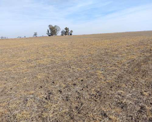 70 Has Agricolas 6000 Zona Marcos Juarez Oportunidad