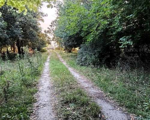 Campo en Venta 10 Hectáreas en Punta Indio