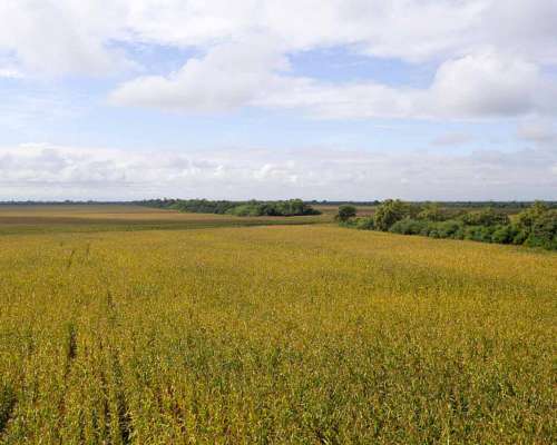 Pcia. de Salta - las Lajitas 8005 Has