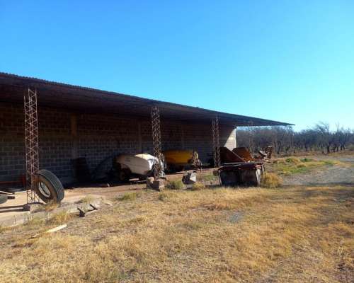 Campo con Fabrica de Aceite de Oliva en Catamarca