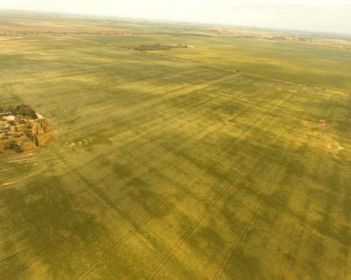 Campo en Venta en Rio Segundo, Córdoba